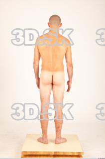 Body texture of Hanus 0010